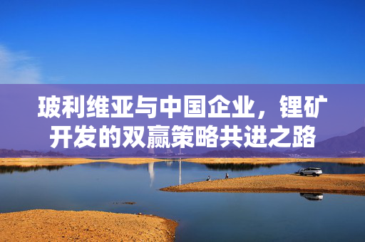 玻利维亚与中国企业，锂矿开发的双赢策略共进之路