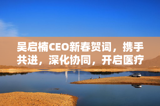 吴启楠CEO新春贺词，携手共进，深化协同，开启医疗新篇章的未来之旅