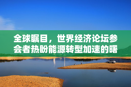 全球瞩目，世界经济论坛参会者热盼能源转型加速的曙光