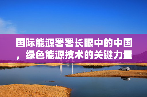 国际能源署署长眼中的中国，绿色能源技术的关键力量