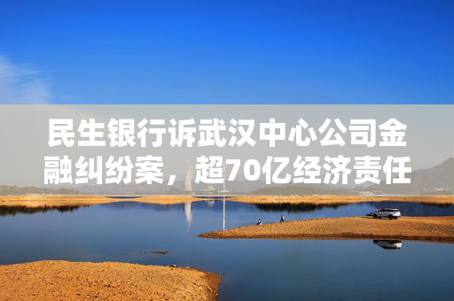 民生银行诉武汉中心公司金融纠纷案，超70亿经济责任与法律追索的背后