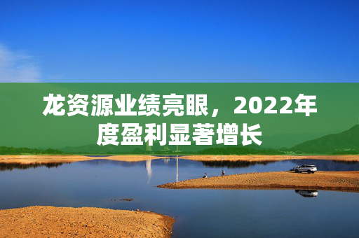 龙资源业绩亮眼，2022年度盈利显著增长