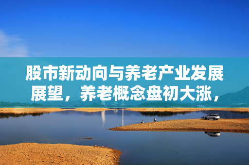 股市新动向与养老产业发展展望，养老概念盘初大涨，多股涨停引领市场新风潮