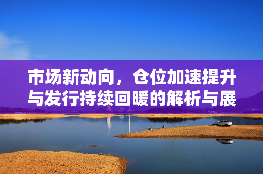 市场新动向，仓位加速提升与发行持续回暖的解析与展望