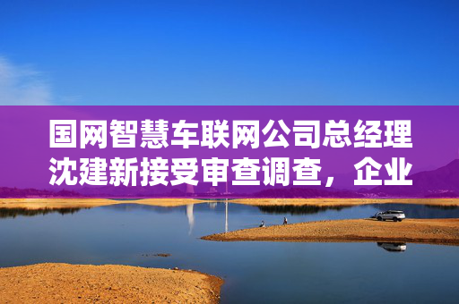 国网智慧车联网公司总经理沈建新接受审查调查，企业治理的警钟与反思