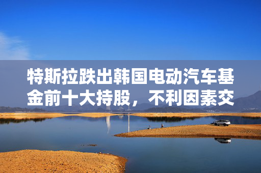 特斯拉跌出韩国电动汽车基金前十大持股，不利因素交织下的市场反思
