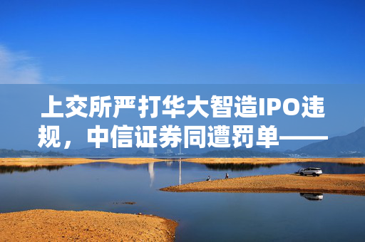 上交所严打华大智造IPO违规，中信证券同遭罚单——市场秩序的警示与反思