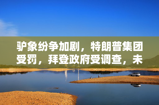 驴象纷争加剧，特朗普集团受罚，拜登政府受调查，未来政治局势展望