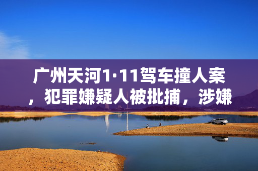 广州天河1·11驾车撞人案，犯罪嫌疑人被批捕，涉嫌危害公共安全