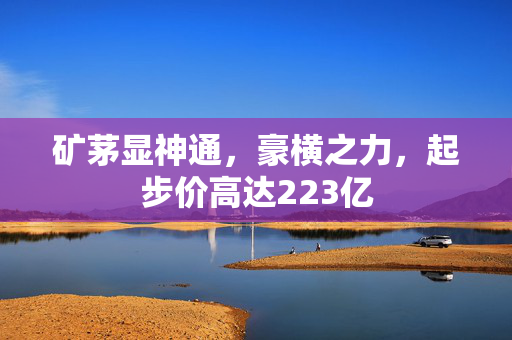矿茅显神通，豪横之力，起步价高达223亿