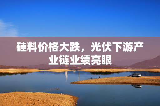 硅料价格大跌，光伏下游产业链业绩亮眼
