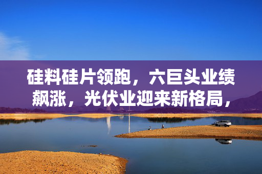 硅料硅片领跑，六巨头业绩飙涨，光伏业迎来新格局，合计近千亿利润
