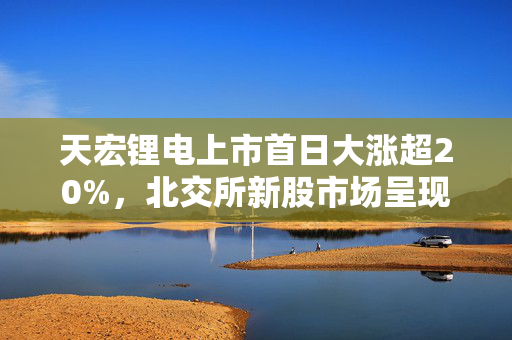 天宏锂电上市首日大涨超20%，北交所新股市场呈现回暖趋势