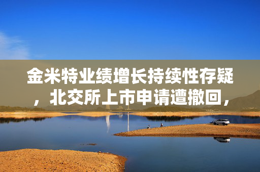 金米特业绩增长持续性存疑，北交所上市申请遭撤回，企业未来出路探索