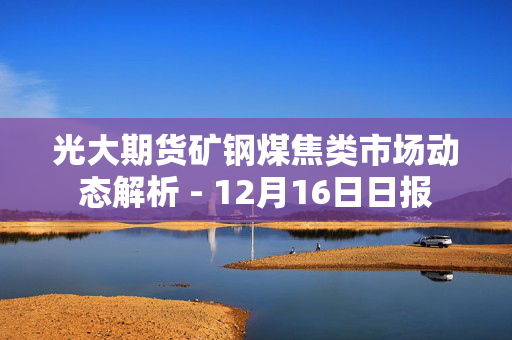 光大期货矿钢煤焦类市场动态解析 - 12月16日日报