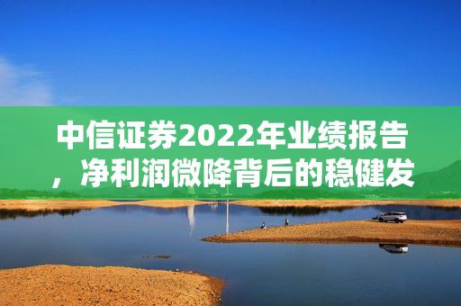 中信证券2022年业绩报告，净利润微降背后的稳健发展之路