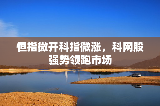 恒指微开科指微涨，科网股强势领跑市场