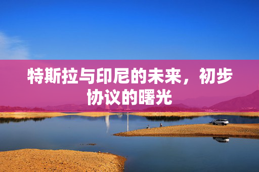 特斯拉与印尼的未来，初步协议的曙光