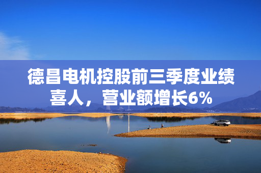 德昌电机控股前三季度业绩喜人，营业额增长6%