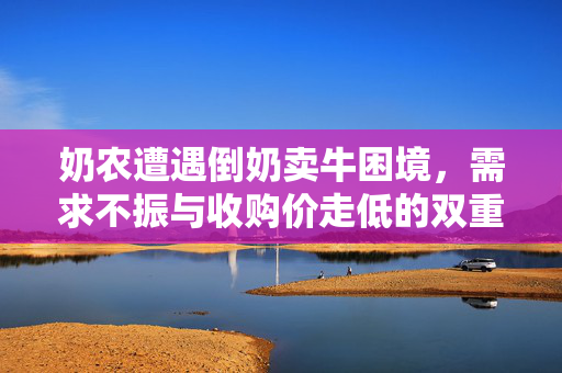 奶农遭遇倒奶卖牛困境，需求不振与收购价走低的双重挑战