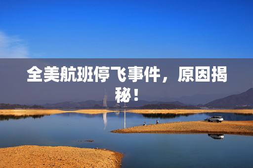 全美航班停飞事件，原因揭秘！