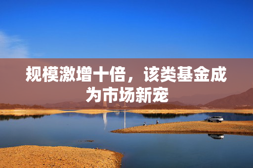 规模激增十倍，该类基金成为市场新宠