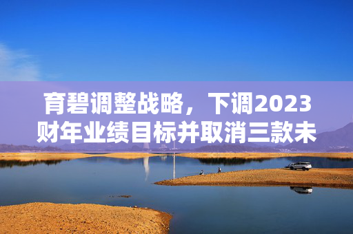 育碧调整战略，下调2023财年业绩目标并取消三款未发布新游戏的决策分析解读