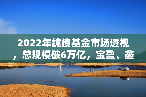 2022年纯债基金市场透视，总规模破6万亿，宝盈、鑫元基金等遭遇收益困境