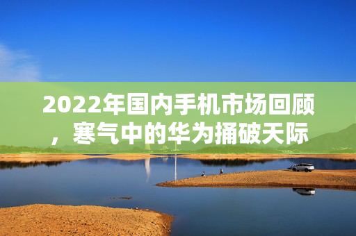 2022年国内手机市场回顾，寒气中的华为捅破天际