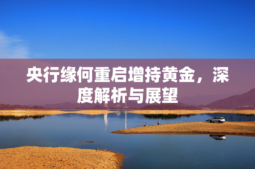 央行缘何重启增持黄金，深度解析与展望