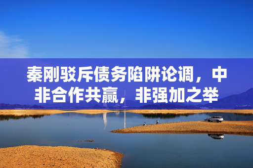 秦刚驳斥债务陷阱论调，中非合作共赢，非强加之举
