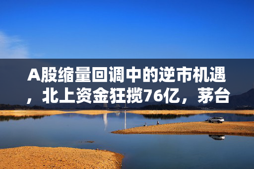 A股缩量回调中的逆市机遇，北上资金狂揽76亿，茅台宁王持续受宠