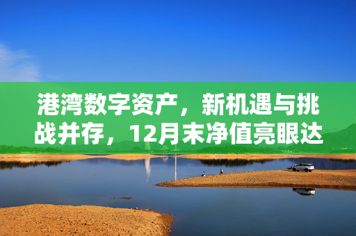 港湾数字资产，新机遇与挑战并存，12月末净值亮眼达0.702港元