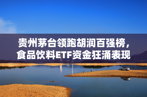 贵州茅台领跑胡润百强榜，食品饮料ETF资金狂涌表现亮眼