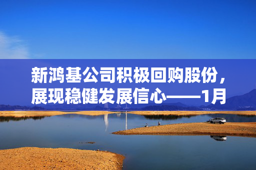 新鸿基公司积极回购股份，展现稳健发展信心——1月12日回购事件深度解析