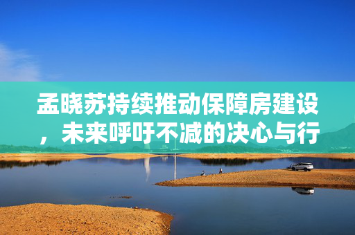 孟晓苏持续推动保障房建设，未来呼吁不减的决心与行动