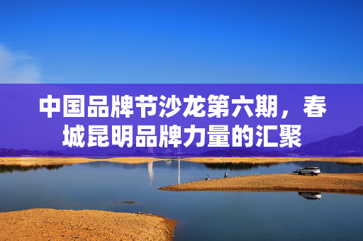 中国品牌节沙龙第六期，春城昆明品牌力量的汇聚
