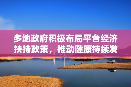 多地政府积极布局平台经济扶持政策，推动健康持续发展