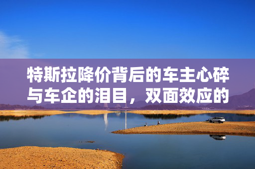 特斯拉降价背后的车主心碎与车企的泪目，双面效应的深度解析