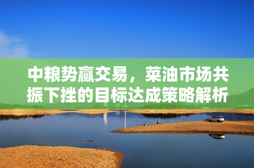 中粮势赢交易，菜油市场共振下挫的目标达成策略解析