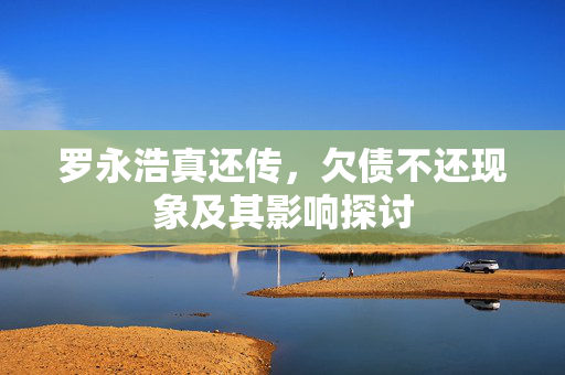 罗永浩真还传，欠债不还现象及其影响探讨