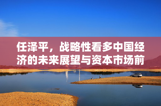 任泽平，战略性看多中国经济的未来展望与资本市场前景