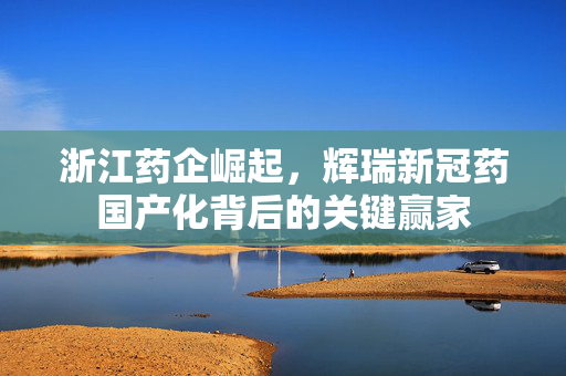 浙江药企崛起，辉瑞新冠药国产化背后的关键赢家