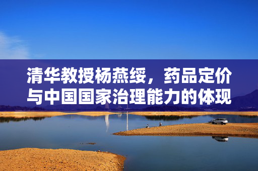 清华教授杨燕绥，药品定价与中国国家治理能力的体现